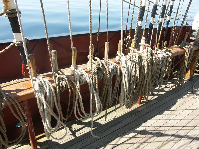 080508_Roald_Amundsen 427.jpg